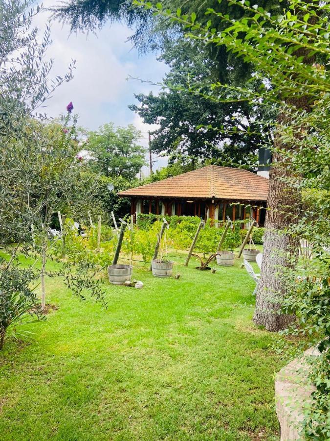 Casa De Coria Bed & Breakfast Чакрас де Кория Екстериор снимка